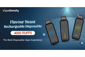 Flavour Beast Rechargeable Disposable